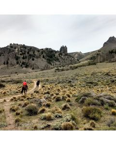 Cavalgada na Estepe Patagônica